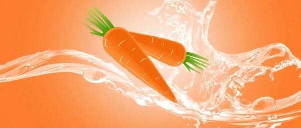 新研究:RPE65、類胡蘿蔔素、VLC-PUFA等營養素對眼睛的保護作用 新研究:RPE65、類胡蘿蔔素、VLC-PUFA等營養素對眼睛的保護作用