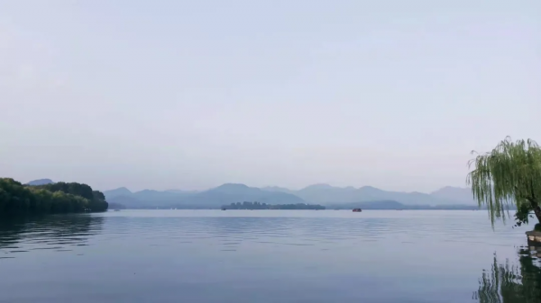 甲友心聲&mdash;&mdash;人生新體驗卡&mdash;小蝴蝶飛走後