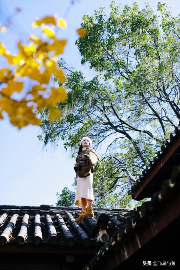 地上不夠耍要上房頂