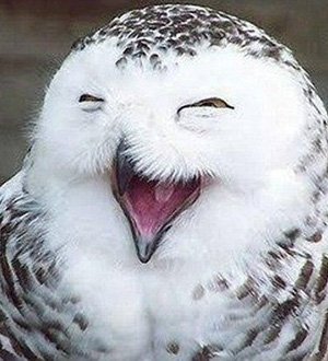 被MIUI不穩定傷透心後，榮耀 Magic 3 Pro 短期個人向體驗