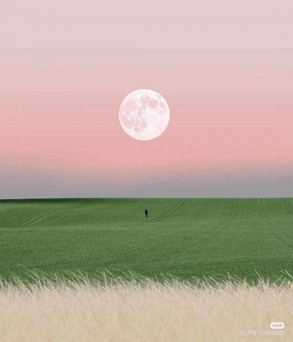 那個三十二歲的男人還是走了 那個三十二歲的男人還是走了