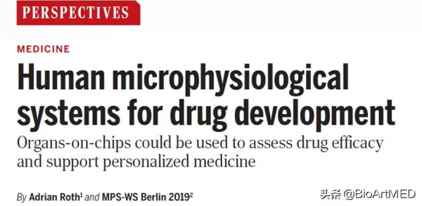 Science觀點 | 人體組織器官晶片可用於藥物研發