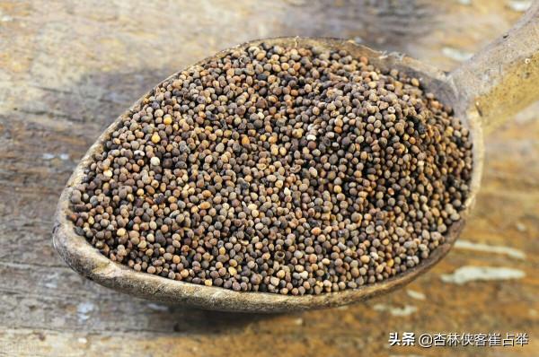 人還未老，腰已先老？3味中藥，補肝腎，祛風溼，陰陽雙補