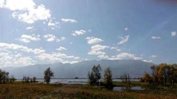 葉少芳·從沙坪鎮到雙廊