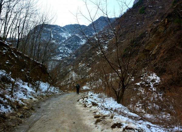走進秦嶺山