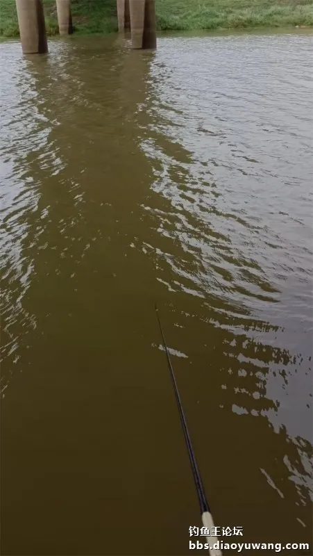 秋風秋雨釣秋水,大風大浪搏大鯉 秋風秋雨釣秋水,大風大浪搏大鯉
