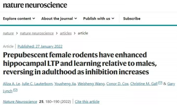 Nat Neurosci揭秘：男女學習記憶能力差異什麼時候開始發生？