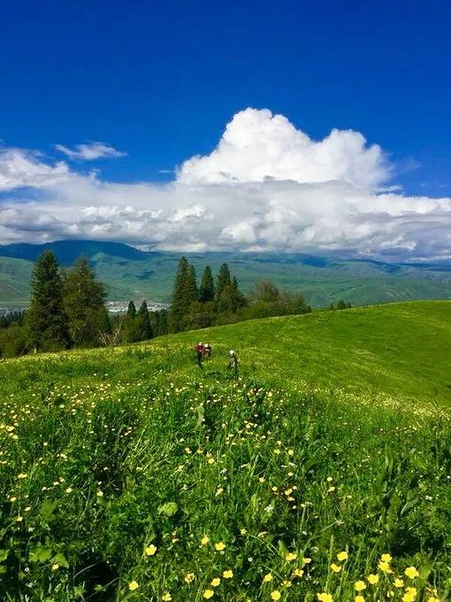 新疆那拉提草原風光 新疆那拉提草原風光