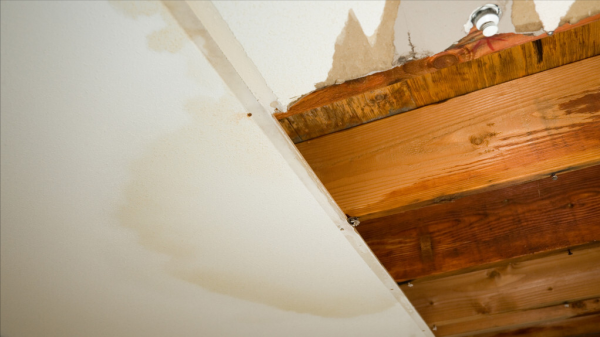 頸椎病為什麼會頭暈噁心？是因為供血不足嗎？中醫認為是水溼太重