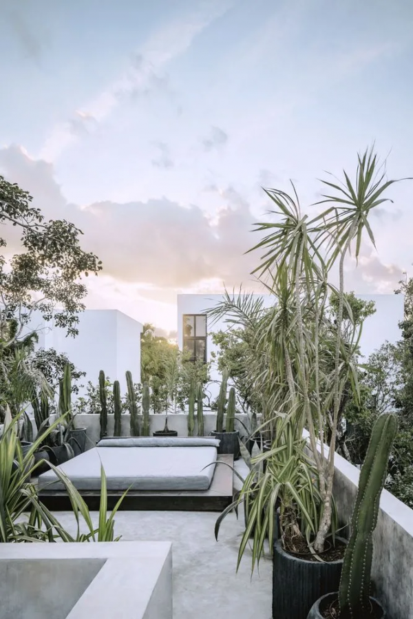 極簡避世豪宅,養老的完美之選 極簡避世豪宅,養老的完美之選