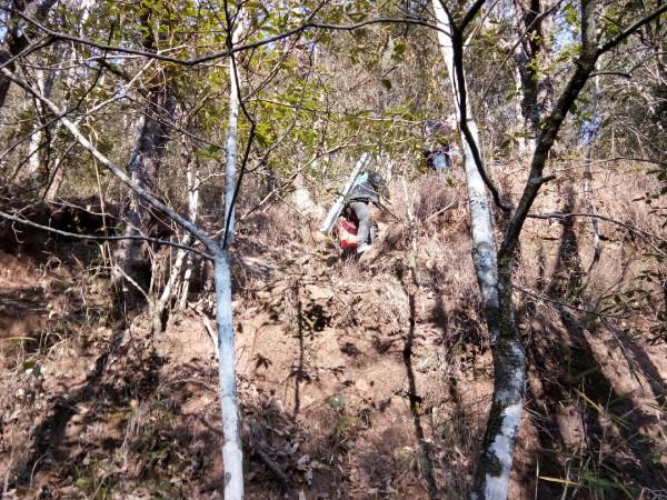 頻繁掛鉤斷線也未能阻止大板鯽爆護