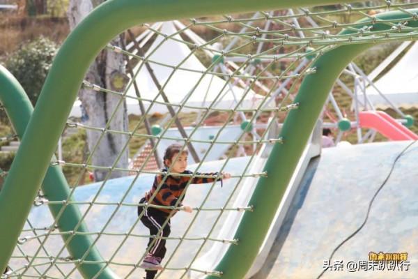 可愛爆炸！秋日萌萌噠便當，親子露營必備哦