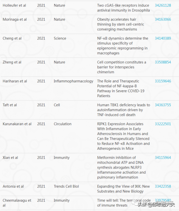 解析NF-κB訊號通路