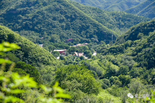 北京有個風景秀美的村莊,溪流疊水,野花遍地,現在去正好 北京有個風景秀美的村莊,溪流疊水,野花遍地,現在去正好