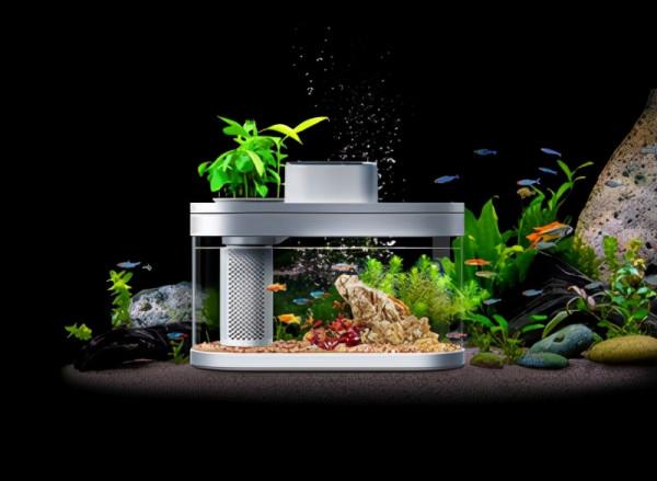 最新養魚神器，AI智慧模組化魚缸，用黑科技養魚