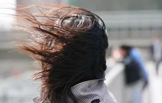 適合秋天的衝鋒衣!透氣防風又擋雨,一口氣買3件也不心疼 適合秋天的衝鋒衣!透氣防風又擋雨,一口氣買3件也不心疼