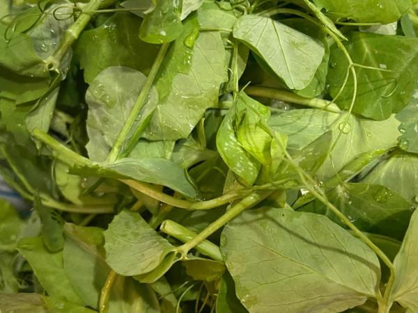 冬日裡必須要來一鍋新鮮味美的燉羊肉呀!附詳細步驟圖文 冬日裡必須要來一鍋新鮮味美的燉羊肉呀!附詳細步驟圖文