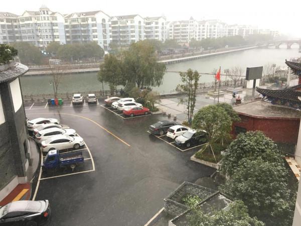 下雪了，保衛三角梅