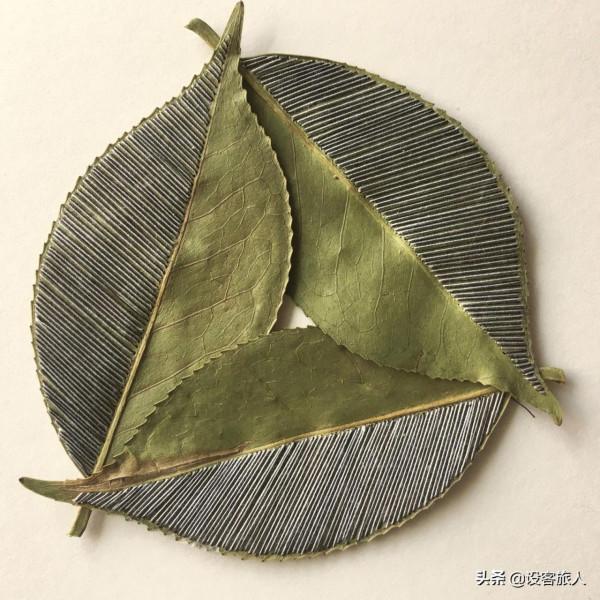 充滿創意和活力的植物刺繡,為幹葉標本增色不少 充滿創意和活力的植物刺繡,為幹葉標本增色不少