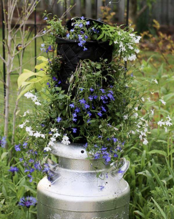30種與眾不同的花園,水壺、舊靴子、爛門框,全部都可以種花 30種與眾不同的花園,水壺、舊靴子、爛門框,全部都可以種花