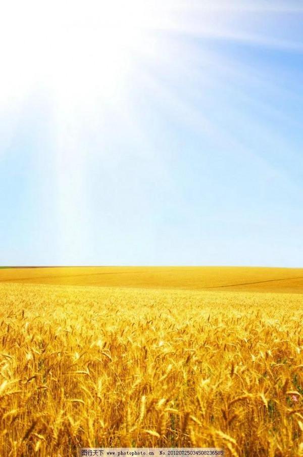 打卡第八十三天 清水辟穀減肥第七十六天 打卡第八十三天 清水辟穀減肥第七十六天