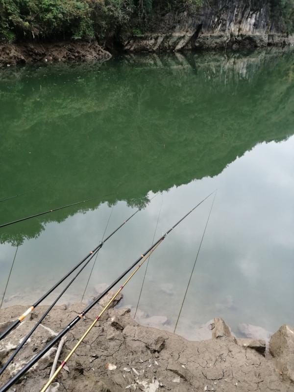 意外收穫野生大鯉魚，洗臉盆都裝不下