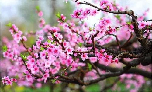 讓心靈憧憬美好，讓生活充滿陽光