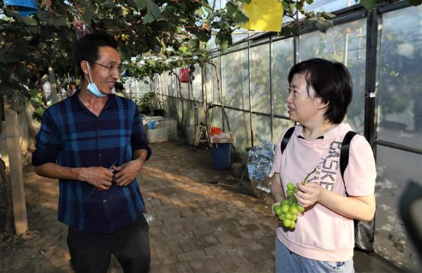 紫輝生態 碩果累累 紫輝生態 碩果累累