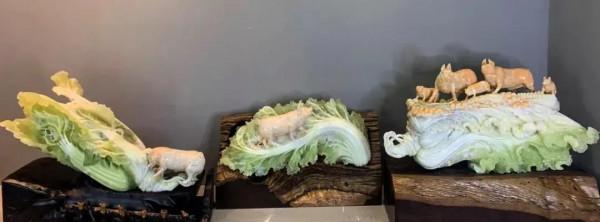 玉華獎獲獎作品欣賞