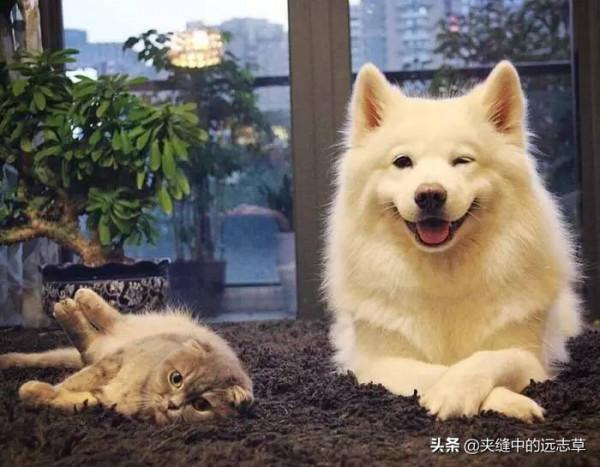 結節、囊腫？多因痰火鬱結，講一箇中成藥，清肝瀉火，軟堅散結