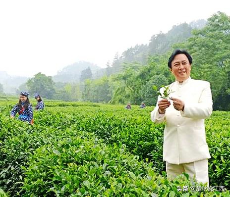 江西這款茶,有人說名字雖不算雅,但喝過一次就會愛上 江西這款茶,有人說名字雖不算雅,但喝過一次就會愛上