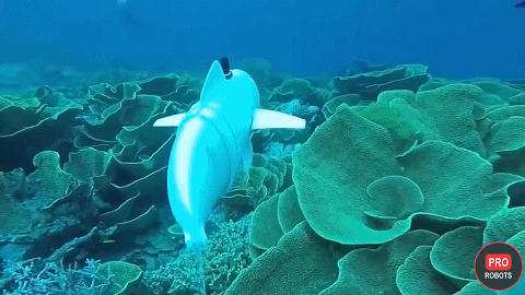 地道戰嘿地道戰，美軍鑽地忙得歡——“智慧+兵器”沙龍·外傳⑵