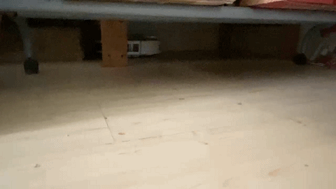 網紅家電是智商稅還是真的好用?我用了半年多來說說真實的感受 網紅家電是智商稅還是真的好用?我用了半年多來說說真實的感受