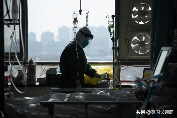 輝瑞公佈口服新冠藥：有效率89%！科學家發現新冠高風險基因訊號