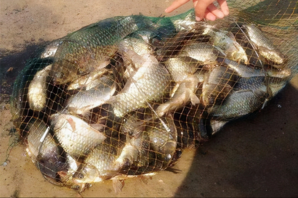 冬天釣魚出太陽就停口了？只是你選的釣位不對