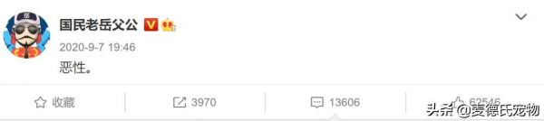 全網最可愛的撕家小公主走了...無數網友悼念:謝謝你治癒過我 全網最可愛的撕家小公主走了...無數網友悼念:謝謝你治癒過我