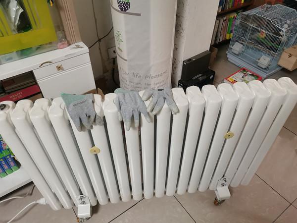 鸚鵡雛鳥保暖6大辦法,這樣做恆溫、節能、省錢還簡單 鸚鵡雛鳥保暖6大辦法,這樣做恆溫、節能、省錢還簡單