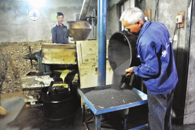 劉成白手起家種植油茶果，年收入破五千萬元，帶領村民共同創收