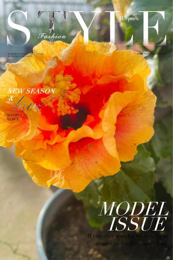 空中花園成就了我的夢想