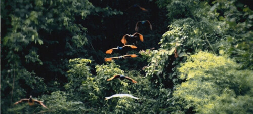 為什麼是雲南？看完我就開始查機票了……