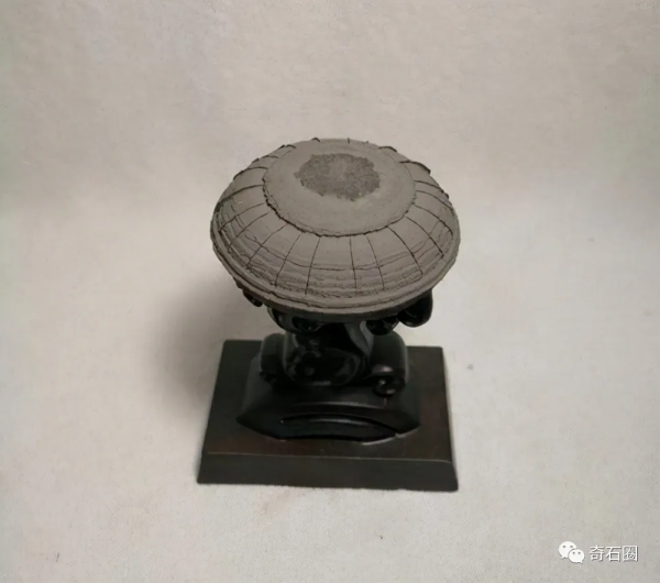 淺談龜紋石的賞玩 淺談龜紋石的賞玩