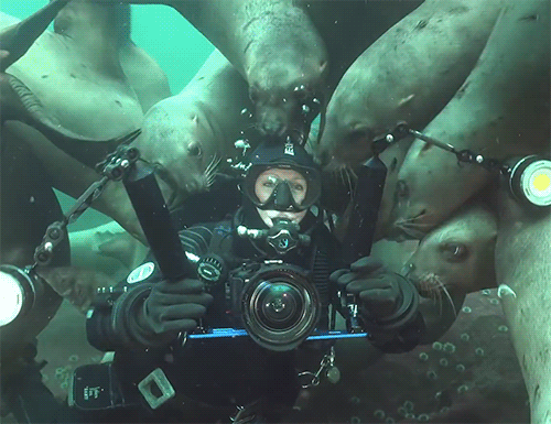 86個難得一見的照片，仙鶴踢飛老鷹，世界最早自拍，鞭腿的力量