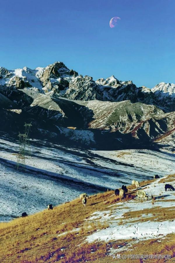 甘肅武威,有多“威武”? 甘肅武威,有多“威武”?