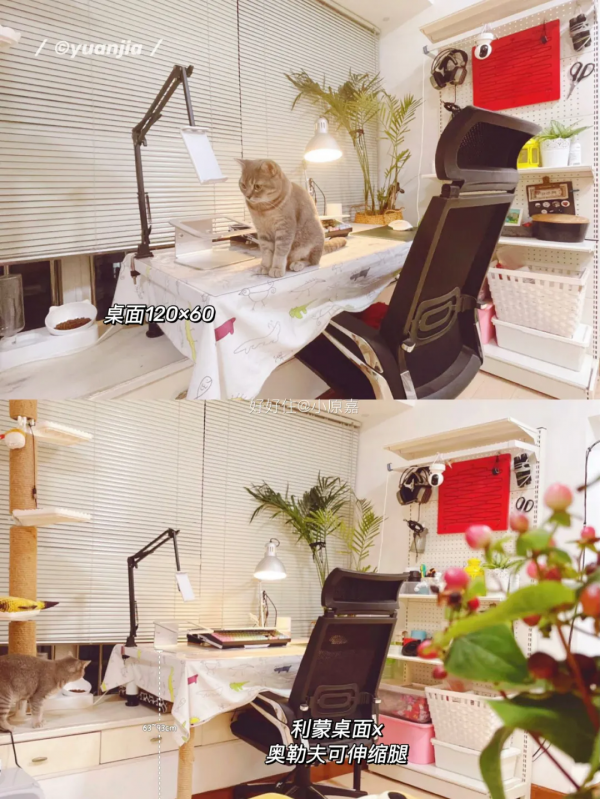 攢了4年，價效比超預期的宜家傢俱都在這了