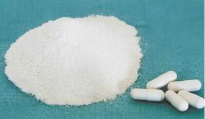 進化論的終極BUG:烏龜為何會成為科學家們的噩夢? 進化論的終極BUG:烏龜為何會成為科學家們的噩夢?