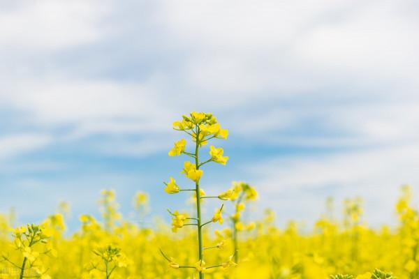 5年沒有傷風感冒，只因我做對了這10件小事情