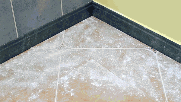 新房入住？舊房改造？這些家電最值得先購買