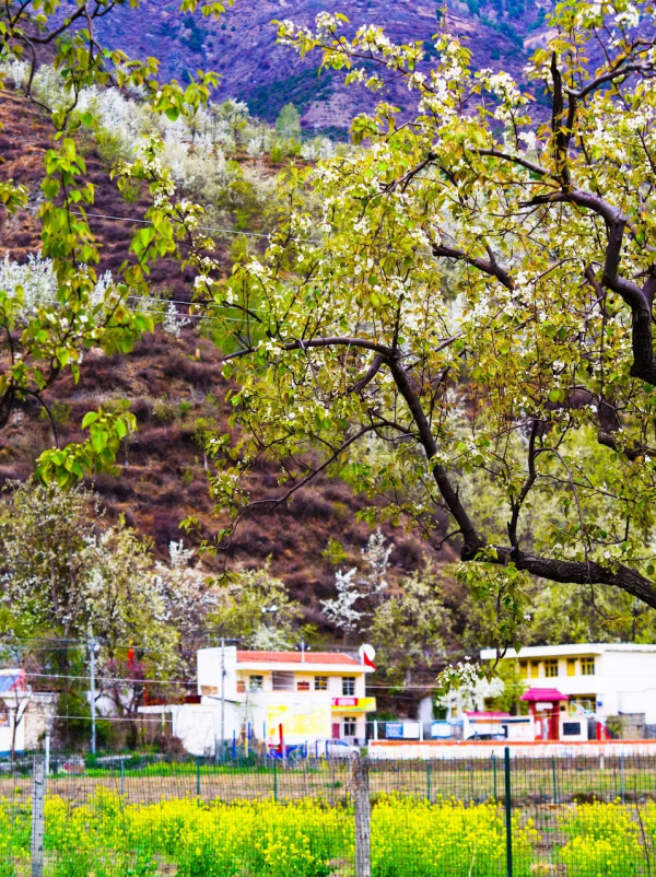 我去旅行，不是因為我有錢