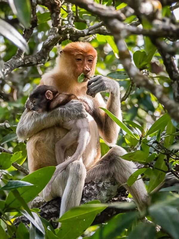 汶萊——2021服貿會“一帶一路”文化旅遊推介展之二