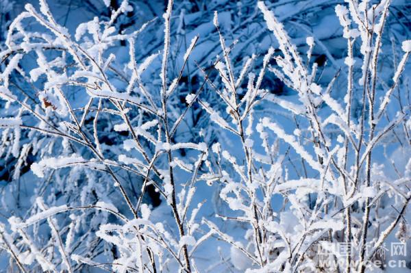 入冬咳嗽不停?幾種食物幫你緩解 入冬咳嗽不停?幾種食物幫你緩解